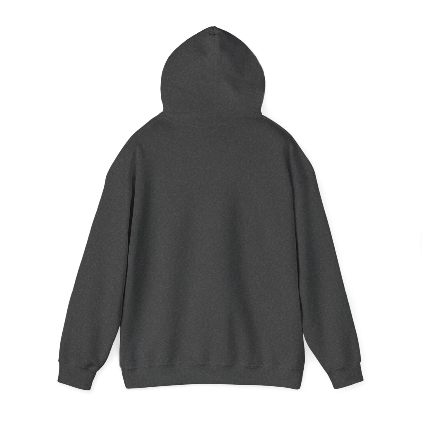 Ladybug Confidential Hoodie