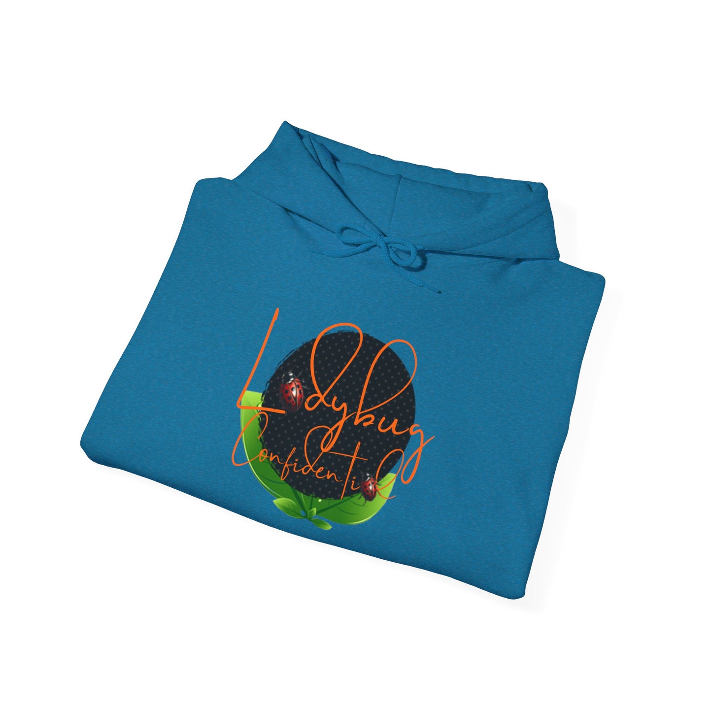 Ladybug Confidential Hoodie