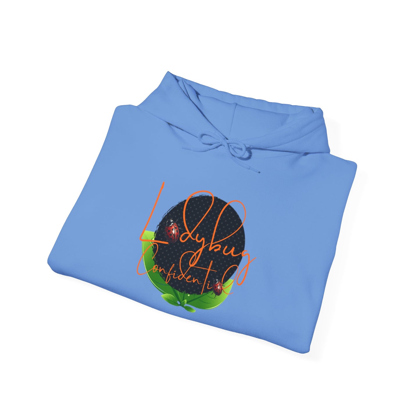 Ladybug Confidential Hoodie