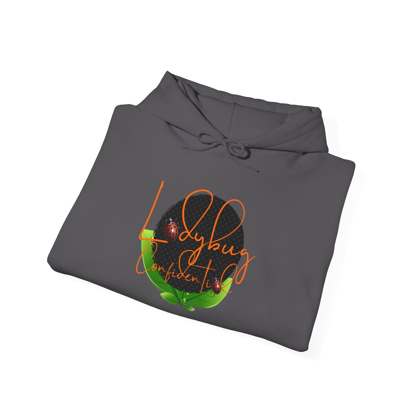 Ladybug Confidential Hoodie