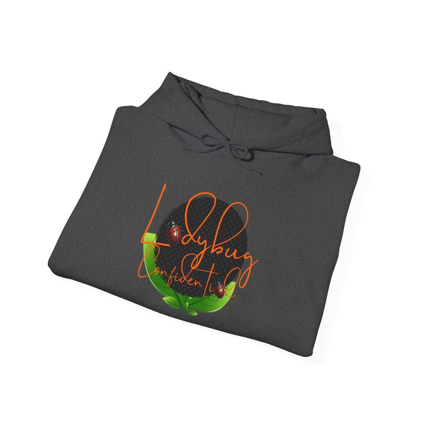 Ladybug Confidential Hoodie