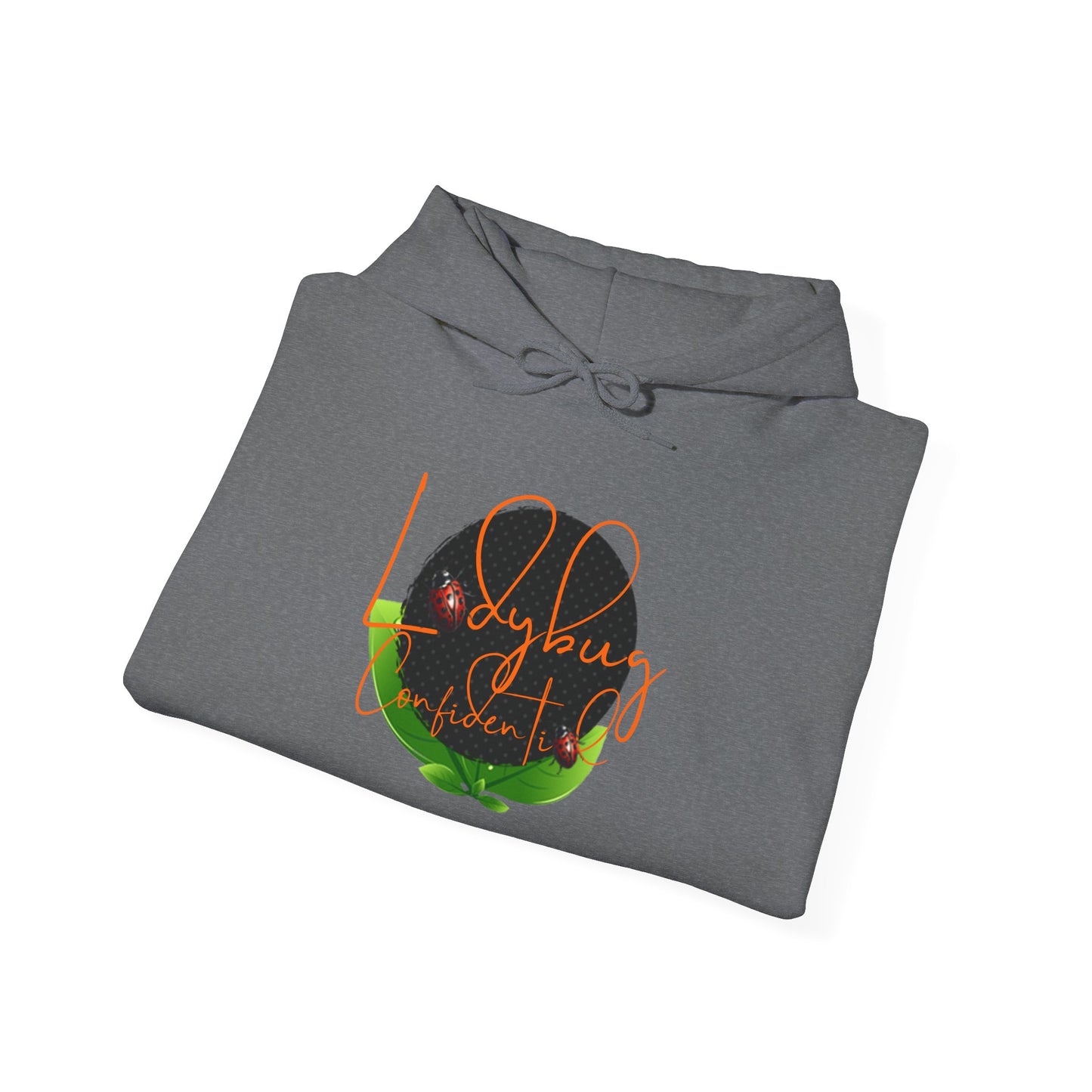 Ladybug Confidential Hoodie